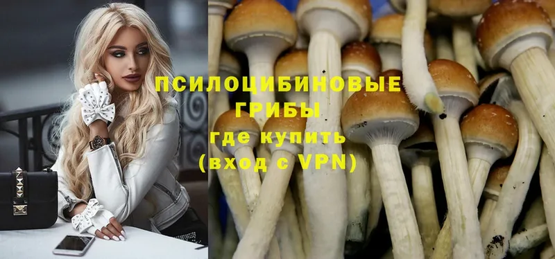 где можно купить   Сыктывкар  blacksprut вход  Галлюциногенные грибы Magic Shrooms 